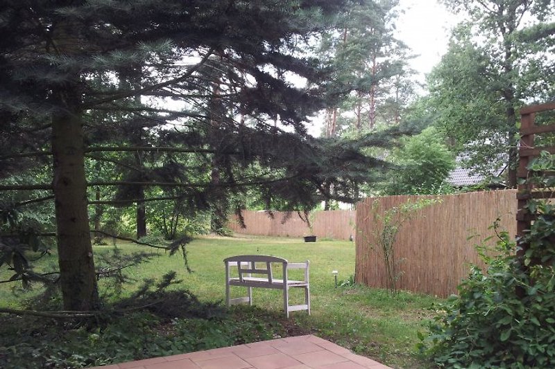 Ferienhaus Wandlitz - Ferienhaus in Wandlitz mieten