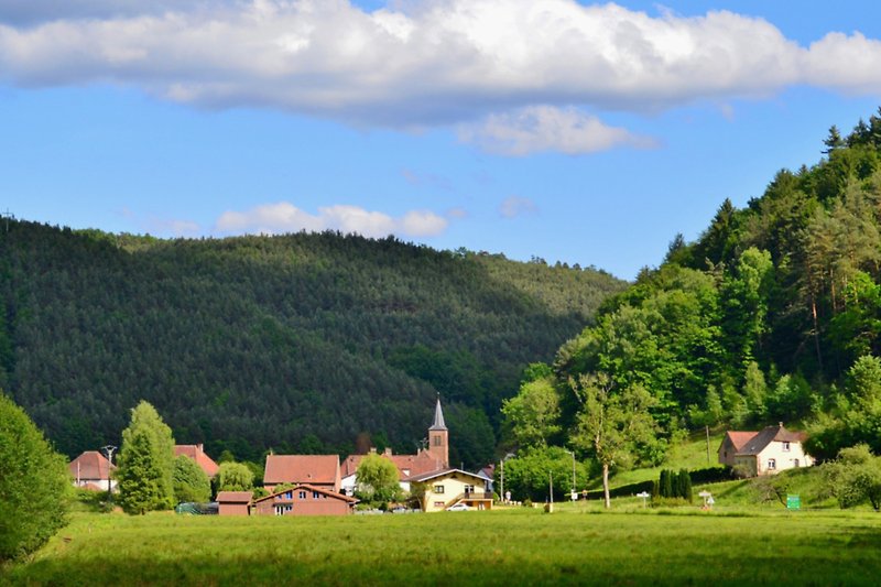 Berglandschaft mit grüner Wiese, Bäumen und Hütte.