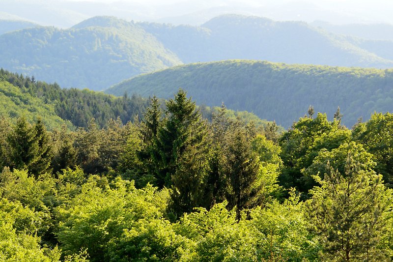 Berglandschaft mit grüner Wiese, Bäumen und Hütte - Naturverbundenheit pur!