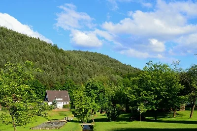 Le gite de l'écureuil****