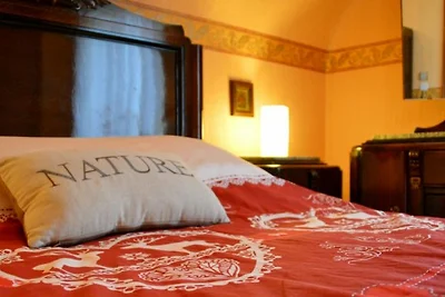 Le gite de l'écureuil****