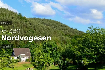 Le gite de l'écureuil****