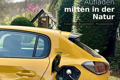 Le gite de l'écureuil****