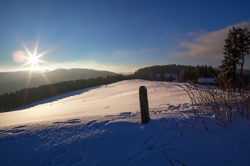 Winter an der Graf Stolberg Hütte