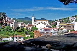 Ferienhaus Buena Vista