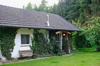 kleines Haus am Waldrand