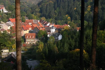 Ferienhaus Alte Schule im Bodetal