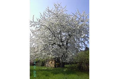 Ferienhaus Dresden Freital