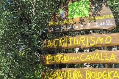 MEISTER HAUS - POGGIO ALLA CAVALLA