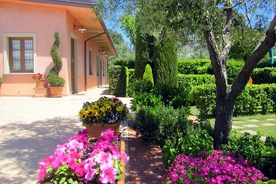 MEISTER HAUS - POGGIO ALLA CAVALLA