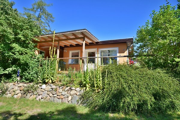 Ferienhaus Warin