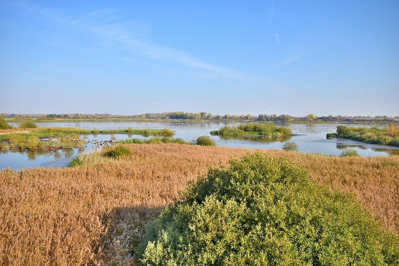 Blick vom Vogelbeobachtungsturm auf das Vogelschutzgebiet Driespether Moor