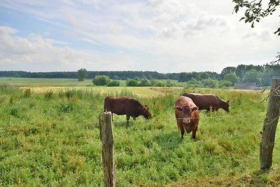 Ferienwohnung Weideblick am See