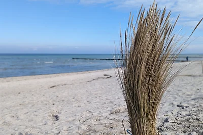 Ferienwohnung Ostseefischer