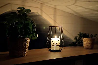 Tiny House WaldSEEle