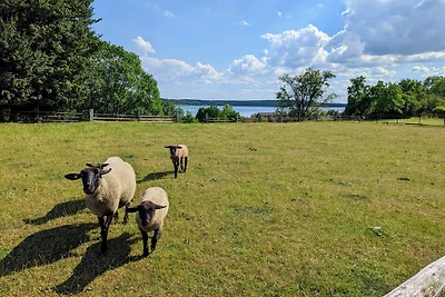 Ferienhaus Zur Döpe mit Seeblick