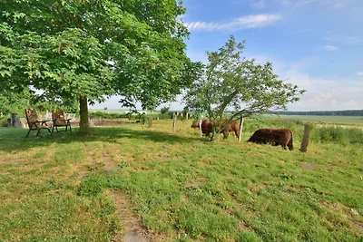 Ferienwohnung Weideblick am See