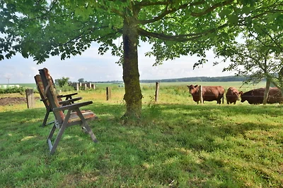 Ferienwohnung Feldblick am See