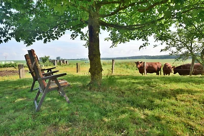 Ferienwohnung Weideblick am See