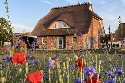 Ferienhaus"Landliebe unter Reet"