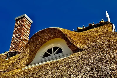 Ferienhaus"Ostseetraum"