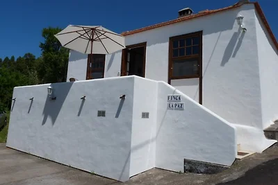 FINCA LA PAZ 