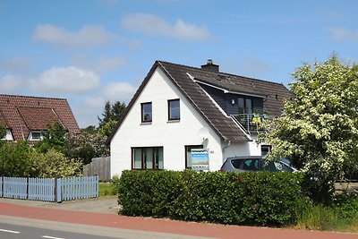 Flat Küstkieker