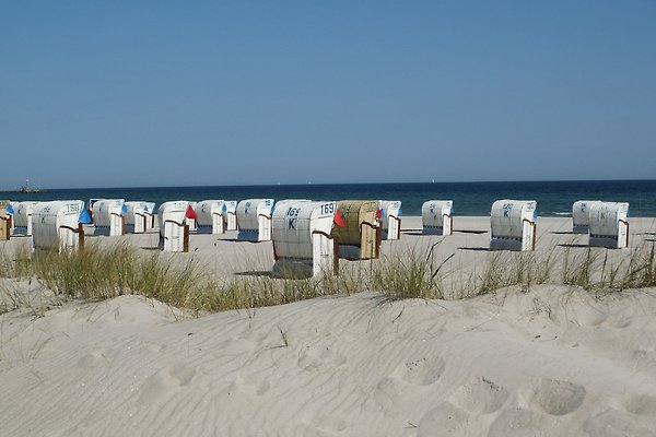 FeWo OSTSEE Meerblick+Balkon, 2SZ in Dahme Firma Haus