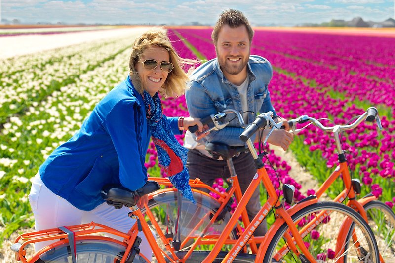 Bicycles, nature and happy people in spring.