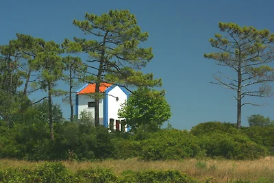 Quinta da Olivia