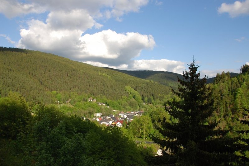 View from the balcony of Unterweißbach.