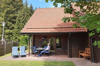 ****Ferienhaus Blauvogel60, Harz