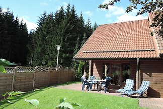 ****Ferienhaus Blauvogel60, Harz
