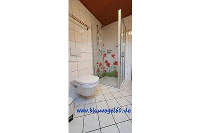 Komfortabel FH Blauvogel 60 Sauna