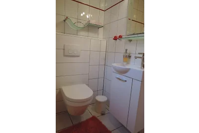 Komfortabel FH Blauvogel 60 Sauna