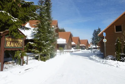 ****Ferienhaus Blauvogel60, Harz