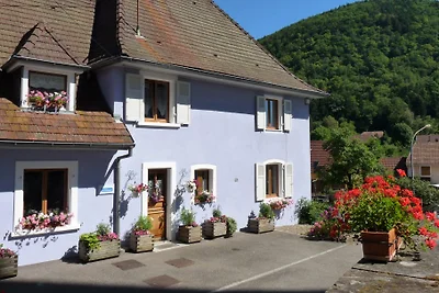 Ferienwohnung Bindler Sewen