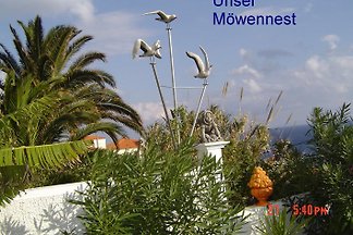Möwennest und Casa Liesl,Apartments