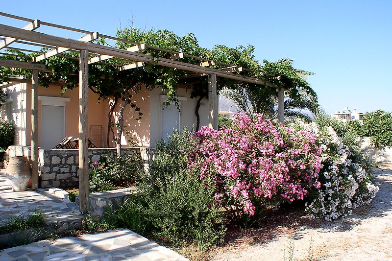 Schönes Haus mit blühenden Pflanzen und malerischer Landschaft.
