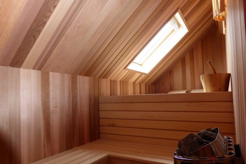 Family sauna with reclining platform and view of the outdoors.
