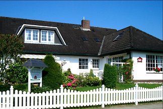 Appartementhaus Medendorp Nr 2