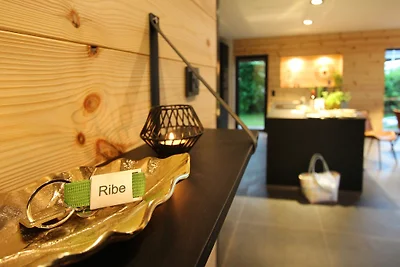 Casa Ribe