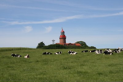 Jagdschloss Hohen Niendorf, Bastorf