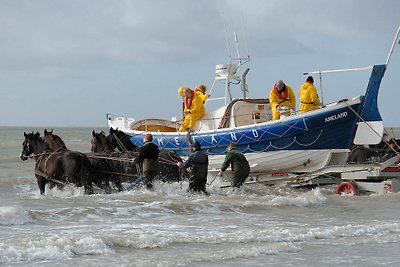 Vakantiehuis Ontspannende vakantie Ballum