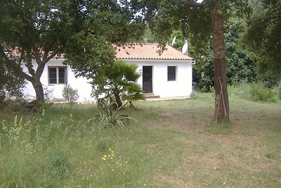 Casa Vera 2 - Natur Pur