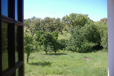 Casa Vera - Natur Pur im Alentejo