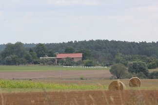 Hof Georgenhöhe - Schweinestall