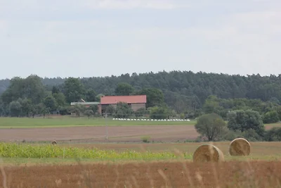 Hof Georgenhöhe - Schweinestall