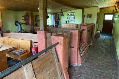 Hof Georgenhöhe - Schweinestall