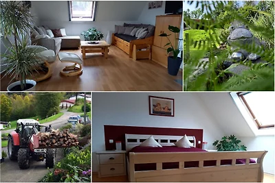 Ferienwohnung
